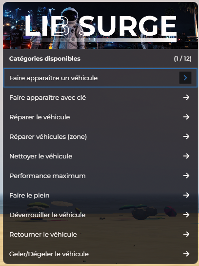 Menu F10 > Options Véhicules : spawn, réparation, nettoyage, performance